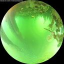 ./images/calvert/underwater/20260624/underwater20260624_110501M.jpg
