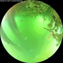 ./images/calvert/underwater/20260624/underwater20260624_111001M.jpg