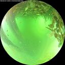 ./images/calvert/underwater/20260624/underwater20260624_112001M.jpg