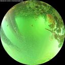 ./images/calvert/underwater/20260624/underwater20260624_113501M.jpg