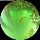 ./images/calvert/underwater/20260624/underwater20260624_120501M.jpg