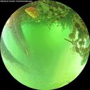 ./images/calvert/underwater/20260624/underwater20260624_121001M.jpg