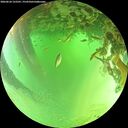./images/calvert/underwater/20260624/underwater20260624_122501M.jpg