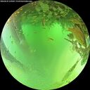 ./images/calvert/underwater/20260624/underwater20260624_123001M.jpg