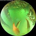 ./images/calvert/underwater/20260624/underwater20260624_124001M.jpg