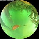 ./images/calvert/underwater/20260624/underwater20260624_125502M.jpg