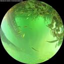 ./images/calvert/underwater/20260624/underwater20260624_130501M.jpg