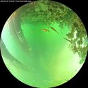 ./images/calvert/underwater/20260624/underwater20260624_131001M.jpg