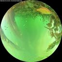 ./images/calvert/underwater/20260624/underwater20260624_131501M.jpg