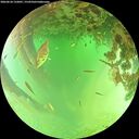 ./images/calvert/underwater/20260624/underwater20260624_132001M.jpg