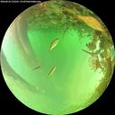 ./images/calvert/underwater/20260624/underwater20260624_132501M.jpg