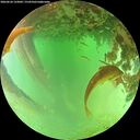 ./images/calvert/underwater/20260624/underwater20260624_133002M.jpg