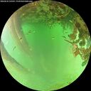 ./images/calvert/underwater/20260624/underwater20260624_133501M.jpg