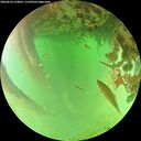 ./images/calvert/underwater/20260624/underwater20260624_134001M.jpg