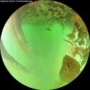 ./images/calvert/underwater/20260624/underwater20260624_135501M.jpg