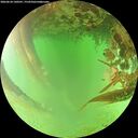 ./images/calvert/underwater/20260624/underwater20260624_140501M.jpg