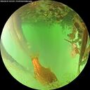 ./images/calvert/underwater/20260624/underwater20260624_141501M.jpg