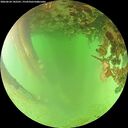 ./images/calvert/underwater/20260624/underwater20260624_142501M.jpg