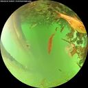 ./images/calvert/underwater/20260624/underwater20260624_144001M.jpg