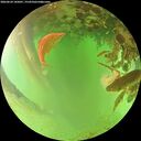 ./images/calvert/underwater/20260624/underwater20260624_145001M.jpg