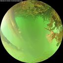 ./images/calvert/underwater/20260624/underwater20260624_150501M.jpg