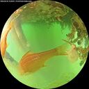 ./images/calvert/underwater/20260624/underwater20260624_152001M.jpg
