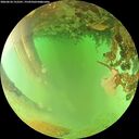 ./images/calvert/underwater/20260624/underwater20260624_152501M.jpg