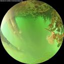 ./images/calvert/underwater/20260624/underwater20260624_153001M.jpg
