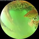 ./images/calvert/underwater/20260624/underwater20260624_154001M.jpg