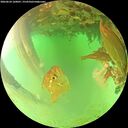 ./images/calvert/underwater/20260624/underwater20260624_160001M.jpg