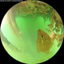 ./images/calvert/underwater/20260624/underwater20260624_160501M.jpg