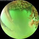 ./images/calvert/underwater/20260624/underwater20260624_161501M.jpg
