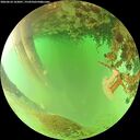 ./images/calvert/underwater/20260624/underwater20260624_162001M.jpg