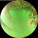./images/calvert/underwater/20260624/underwater20260624_162501M.jpg