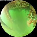 ./images/calvert/underwater/20260624/underwater20260624_163001M.jpg