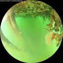 ./images/calvert/underwater/20260624/underwater20260624_163501M.jpg