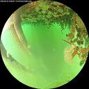 ./images/calvert/underwater/20260624/underwater20260624_164001M.jpg