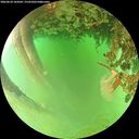 ./images/calvert/underwater/20260624/underwater20260624_164502M.jpg