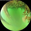 ./images/calvert/underwater/20260624/underwater20260624_165501M.jpg