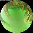 ./images/calvert/underwater/20260624/underwater20260624_170001M.jpg