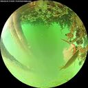 ./images/calvert/underwater/20260624/underwater20260624_171002M.jpg