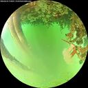 ./images/calvert/underwater/20260624/underwater20260624_172001M.jpg