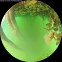 ./images/calvert/underwater/20260624/underwater20260624_172502M.jpg
