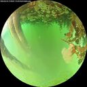 ./images/calvert/underwater/20260624/underwater20260624_173001M.jpg