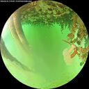 ./images/calvert/underwater/20260624/underwater20260624_173501M.jpg