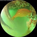 ./images/calvert/underwater/20260624/underwater20260624_174501M.jpg