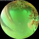 ./images/calvert/underwater/20260624/underwater20260624_175001M.jpg