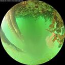./images/calvert/underwater/20260624/underwater20260624_175501M.jpg