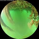 ./images/calvert/underwater/20260624/underwater20260624_180001M.jpg