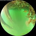 ./images/calvert/underwater/20260624/underwater20260624_180501M.jpg